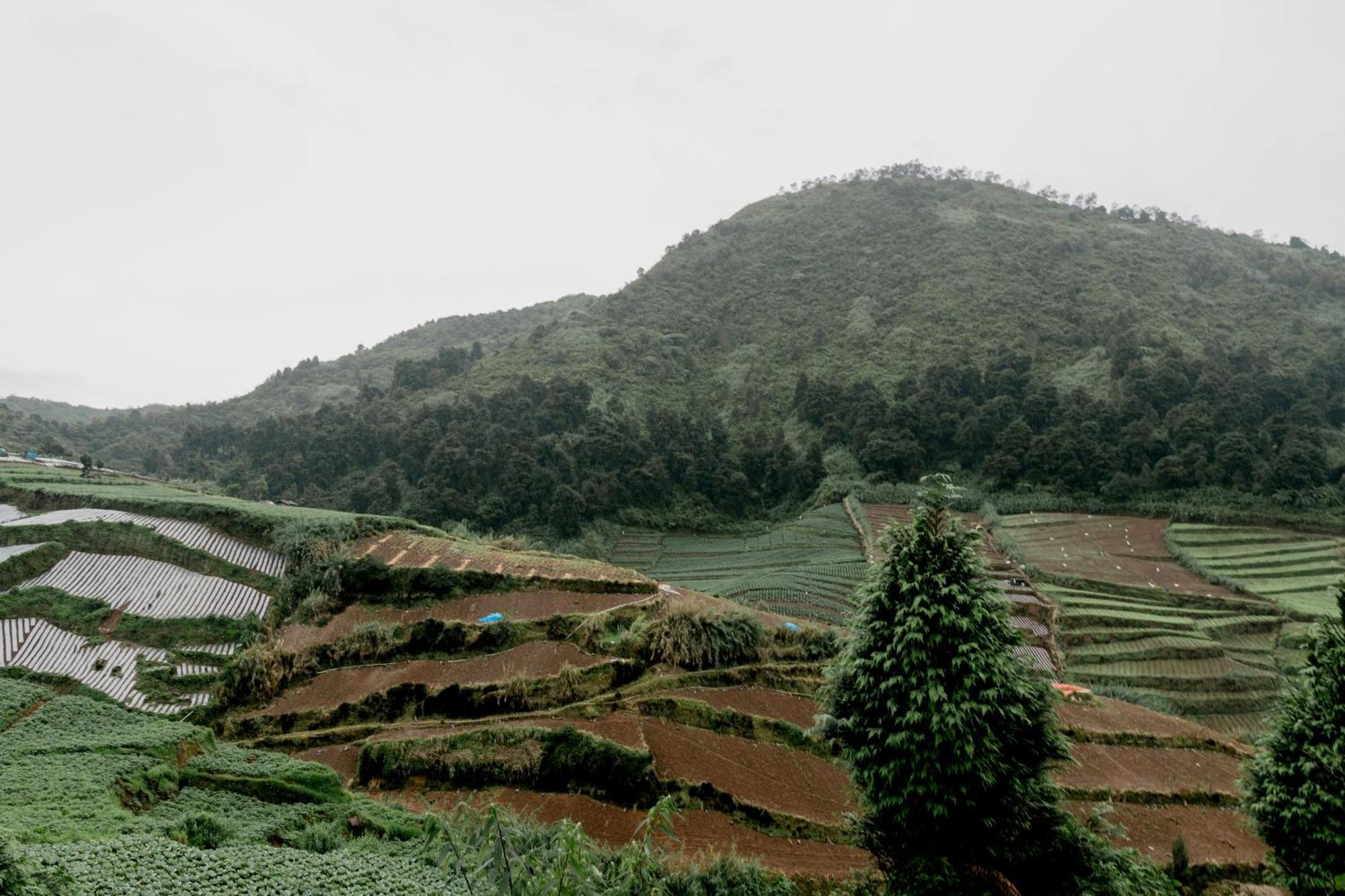 Satha Private Villa Dieng Banjarnegara Exteriör bild